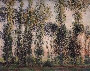 Poplars at Giverny